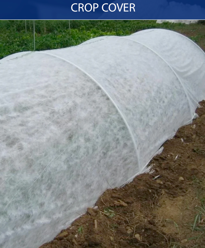 crop-cover